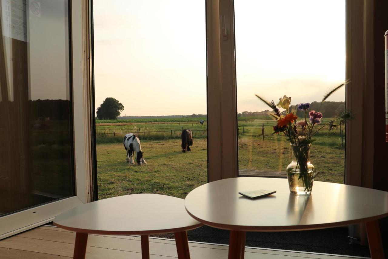 Essen Slapen Tussen De Paarden酒店 外观 照片