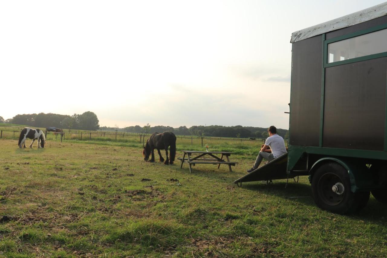 Essen Slapen Tussen De Paarden酒店 外观 照片